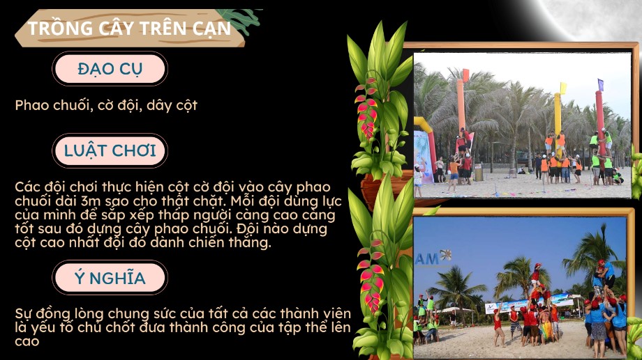 trong-cay-tren-can-la-hoat-dong-thu-vi-teambuilding-camping